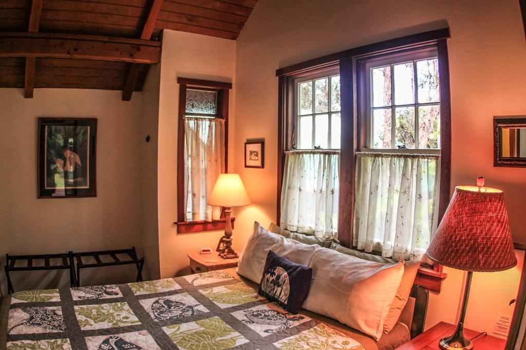 Ferny Hollow: Romantic Rainforest Cottage Волкейно Екстериор снимка