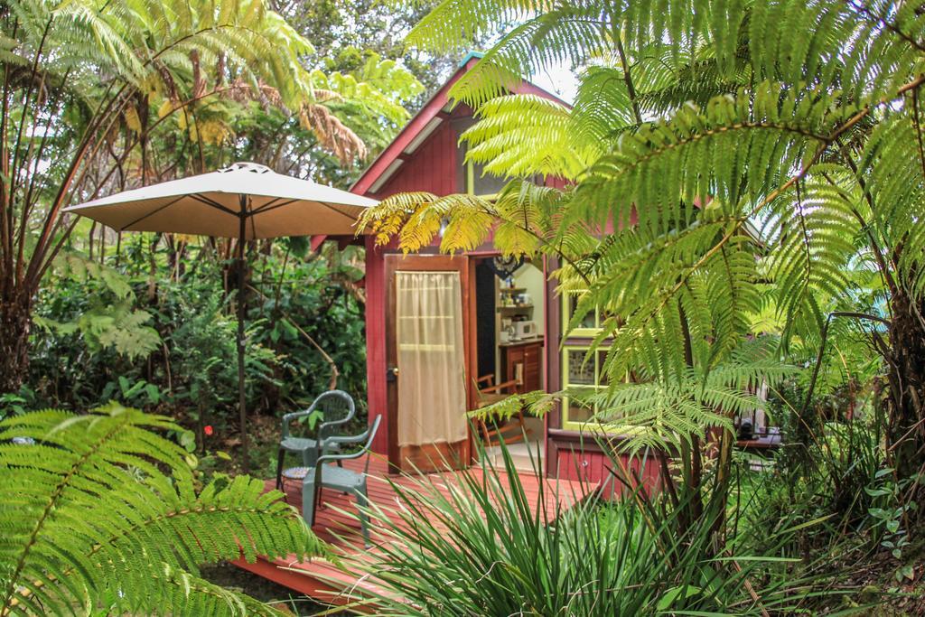 Ferny Hollow: Romantic Rainforest Cottage Волкейно Екстериор снимка