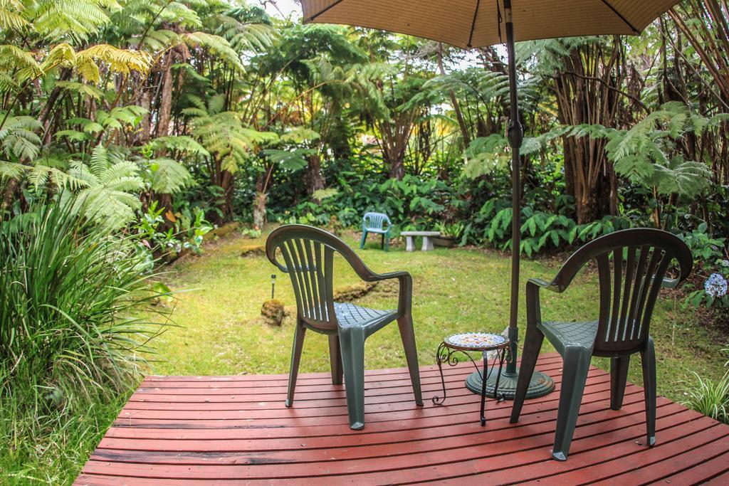 Ferny Hollow: Romantic Rainforest Cottage Волкейно Екстериор снимка