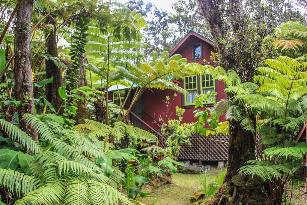Ferny Hollow: Romantic Rainforest Cottage Волкейно Екстериор снимка