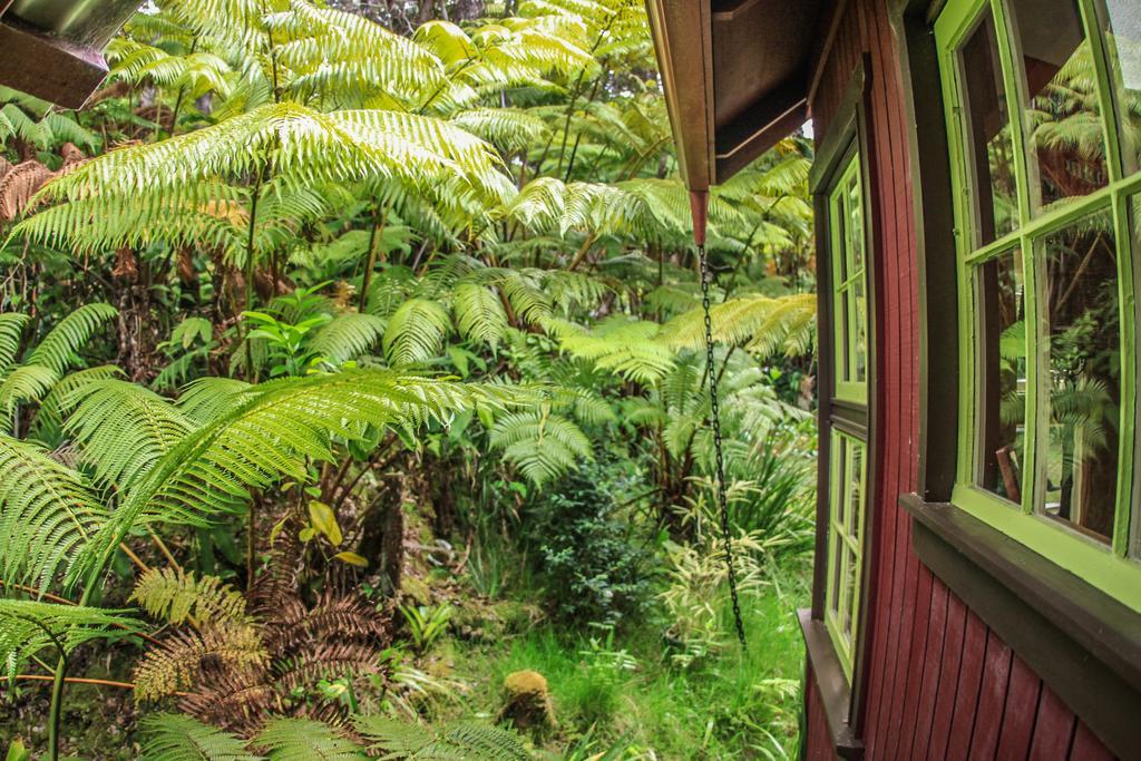 Ferny Hollow: Romantic Rainforest Cottage Волкейно Екстериор снимка